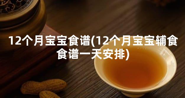 12个月宝宝食谱(12个月宝宝辅食食谱一天安排)