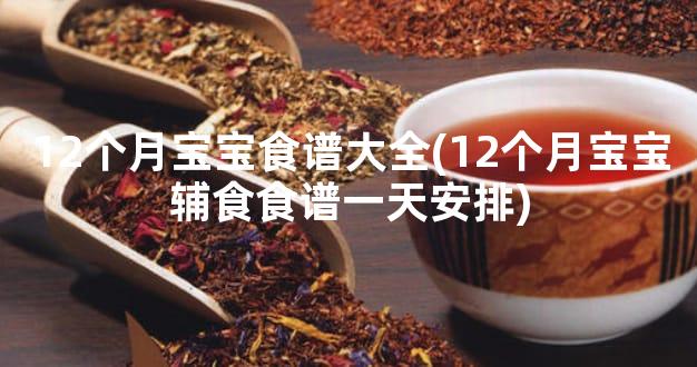 12个月宝宝食谱大全(12个月宝宝辅食食谱一天安排)