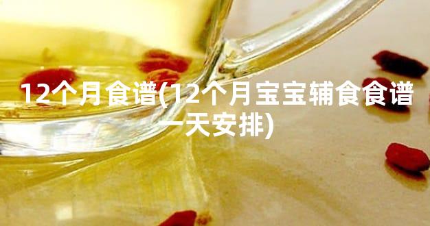 12个月食谱(12个月宝宝辅食食谱一天安排)