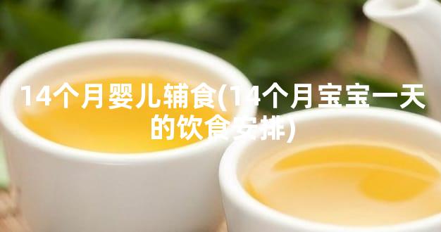 14个月婴儿辅食(14个月宝宝一天的饮食安排)