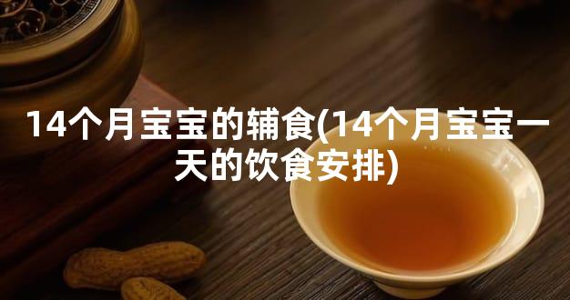 14个月宝宝的辅食(14个月宝宝一天的饮食安排)