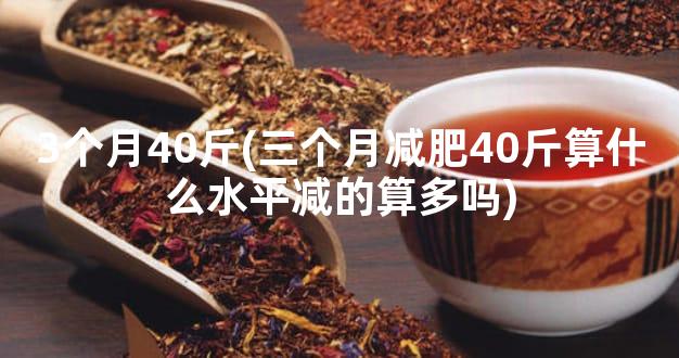 3个月40斤(三个月减肥40斤算什么水平减的算多吗)