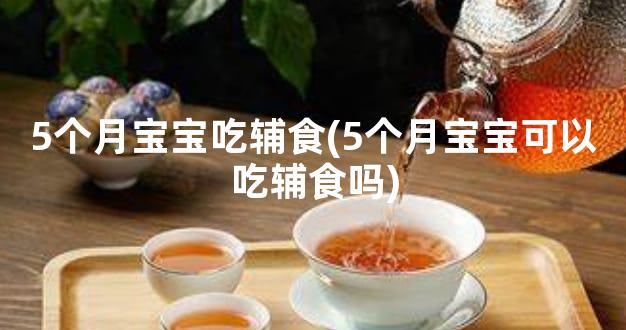 5个月宝宝吃辅食(5个月宝宝可以吃辅食吗)