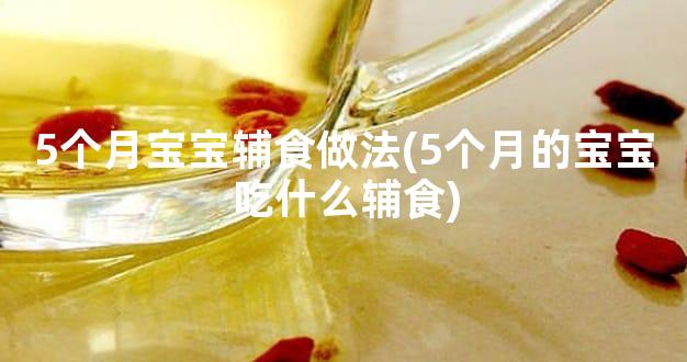 5个月宝宝辅食做法(5个月的宝宝吃什么辅食)