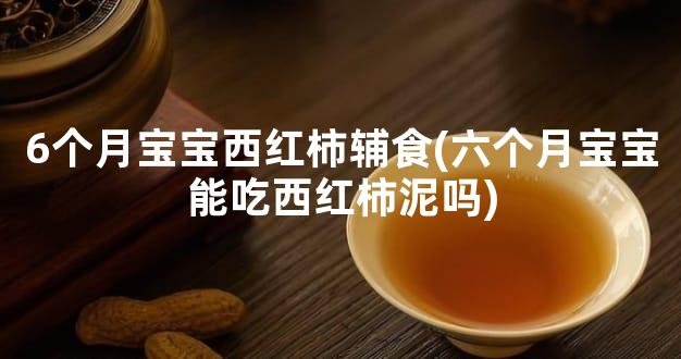 6个月宝宝西红柿辅食(六个月宝宝能吃西红柿泥吗)