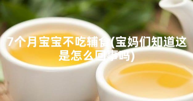7个月宝宝不吃辅食(宝妈们知道这是怎么回事吗)