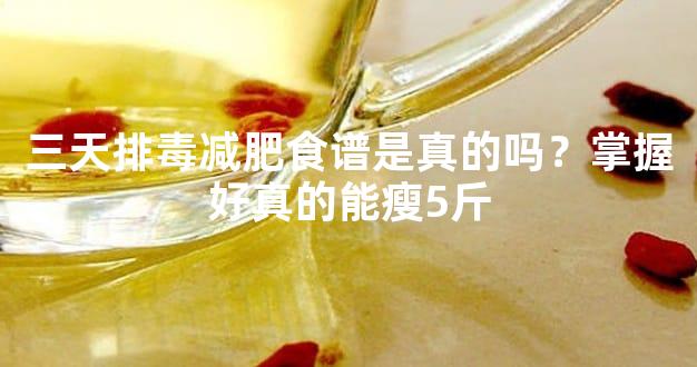 三天排毒减肥食谱是真的吗？掌握好真的能瘦5斤