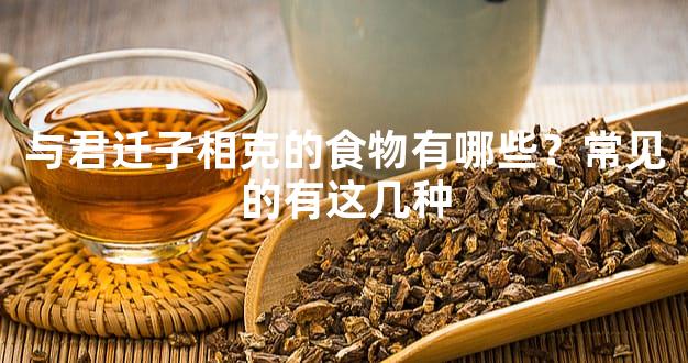 与君迁子相克的食物有哪些？常见的有这几种