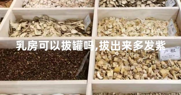 乳房可以拔罐吗,拔出来多发紫