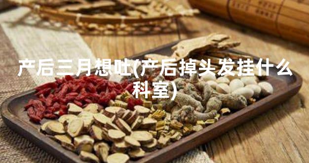 产后三月想吐(产后掉头发挂什么科室)