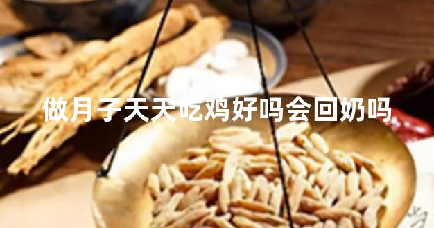 做月子天天吃鸡好吗会回奶吗