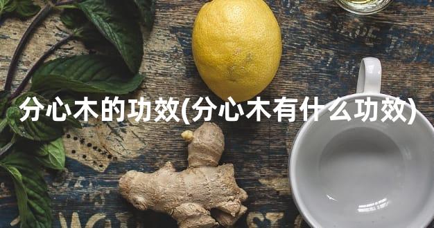 分心木的功效(分心木有什么功效)