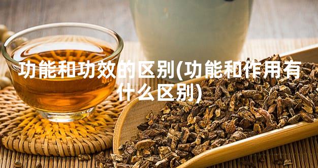 功能和功效的区别(功能和作用有什么区别)