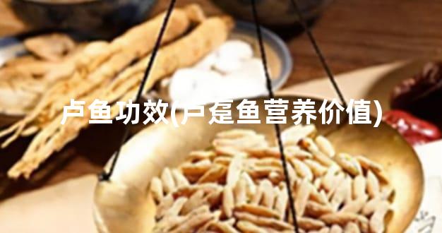 卢鱼功效(卢趸鱼营养价值)