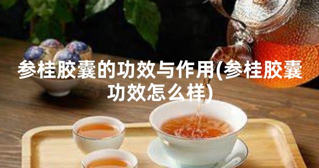 参桂胶囊的功效与作用(参桂胶囊功效怎么样)