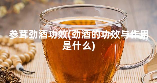 参茸劲酒功效(劲酒的功效与作用是什么)