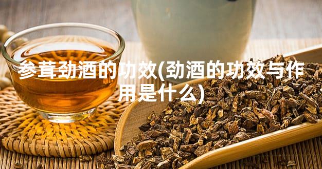 参茸劲酒的功效(劲酒的功效与作用是什么)