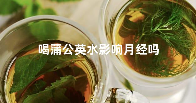 喝蒲公英水影响月经吗