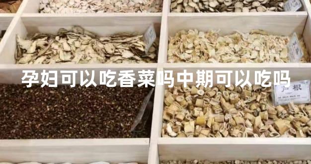 孕妇可以吃香菜吗中期可以吃吗