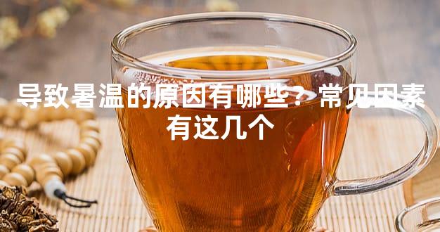 导致暑温的原因有哪些？常见因素有这几个