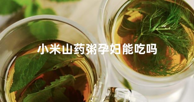 小米山药粥孕妇能吃吗