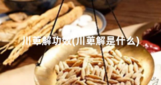 川萆解功效(川萆解是什么)