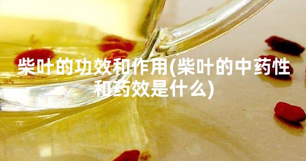 柴叶的功效和作用(柴叶的中药性和药效是什么)