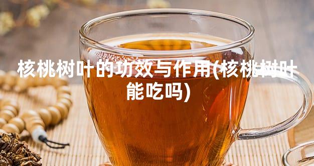 核桃树叶的功效与作用(核桃树叶能吃吗)