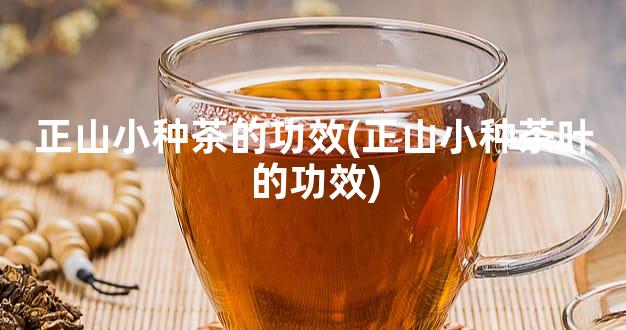 正山小种茶的功效(正山小种茶叶的功效)