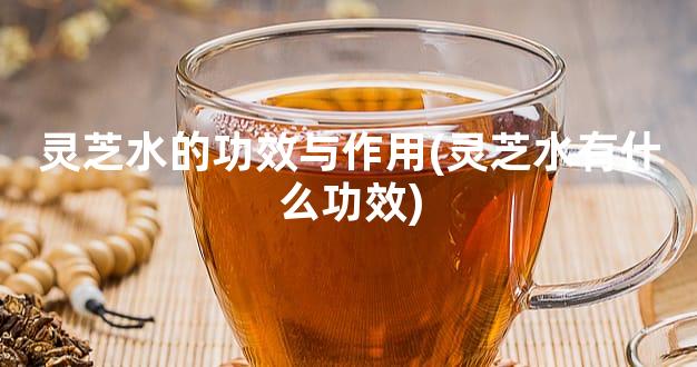 灵芝水的功效与作用(灵芝水有什么功效)