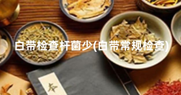 白带检查杆菌少(白带常规检查)