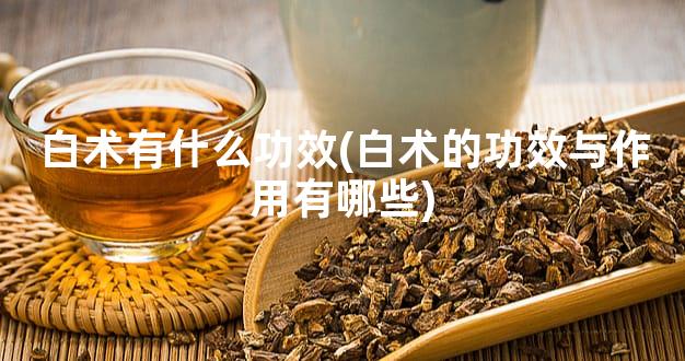 白术有什么功效(白术的功效与作用有哪些)