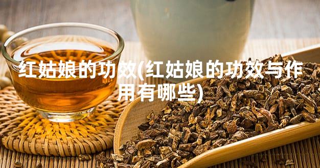 红姑娘的功效(红姑娘的功效与作用有哪些)