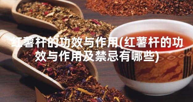 红薯杆的功效与作用(红薯杆的功效与作用及禁忌有哪些)