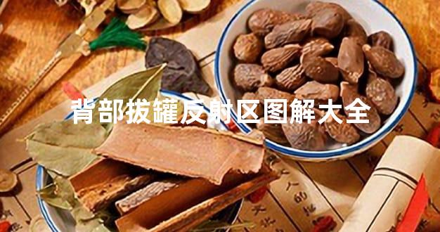 背部拔罐反射区图解大全