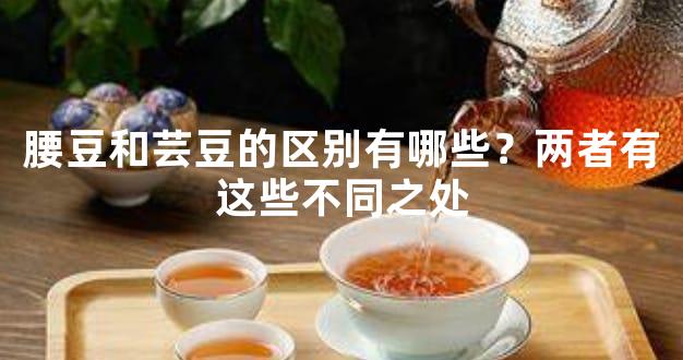 腰豆和芸豆的区别有哪些？两者有这些不同之处
