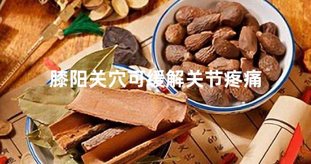 膝阳关穴可缓解关节疼痛