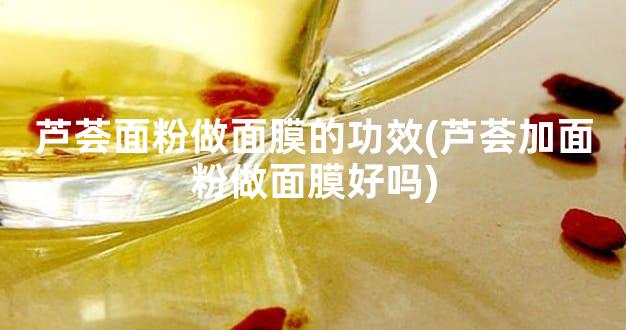 芦荟面粉做面膜的功效(芦荟加面粉做面膜好吗)