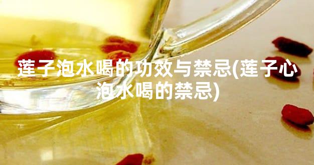 莲子泡水喝的功效与禁忌(莲子心泡水喝的禁忌)