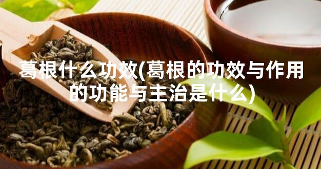 葛根什么功效(葛根的功效与作用的功能与主治是什么)