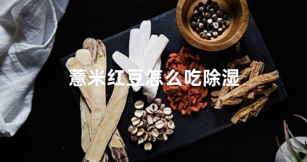 薏米红豆怎么吃除湿