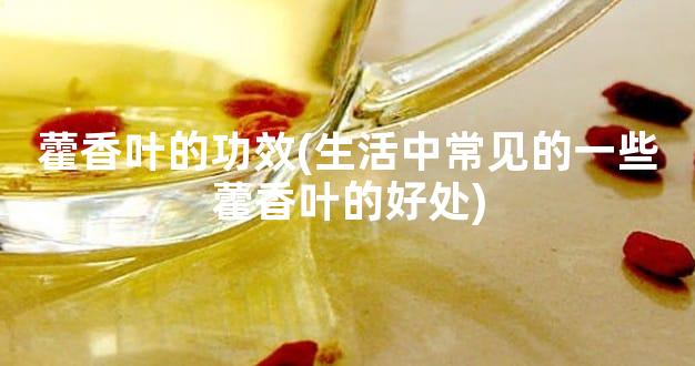 藿香叶的功效(生活中常见的一些藿香叶的好处)