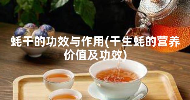 蚝干的功效与作用(干生蚝的营养价值及功效)