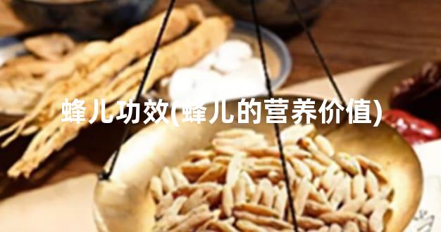 蜂儿功效(蜂儿的营养价值)