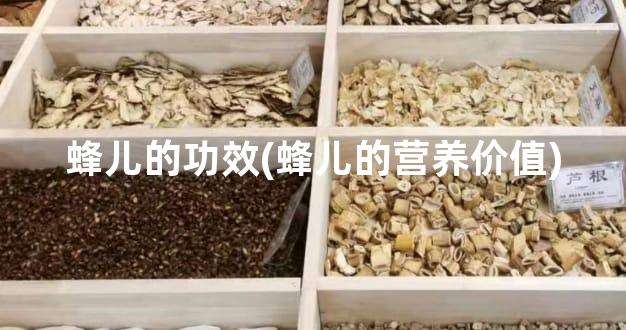 蜂儿的功效(蜂儿的营养价值)