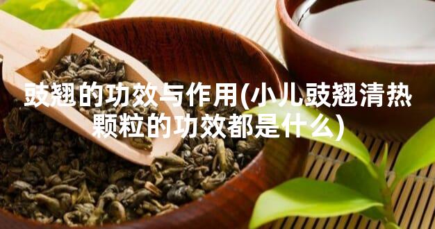 豉翘的功效与作用(小儿豉翘清热颗粒的功效都是什么)