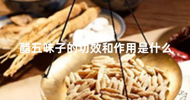 醋五味子的功效和作用是什么