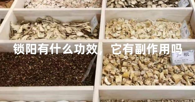 锁阳有什么功效，它有副作用吗