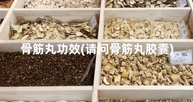 骨筋丸功效(请问骨筋丸胶囊)