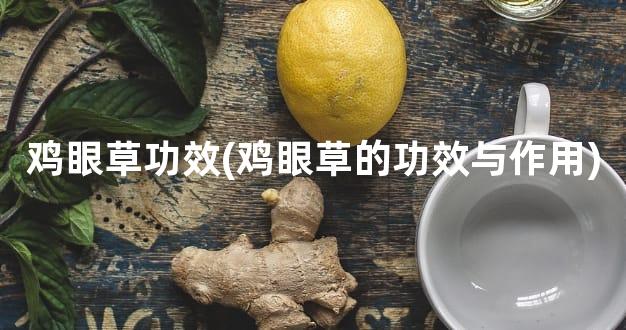 鸡眼草功效(鸡眼草的功效与作用)